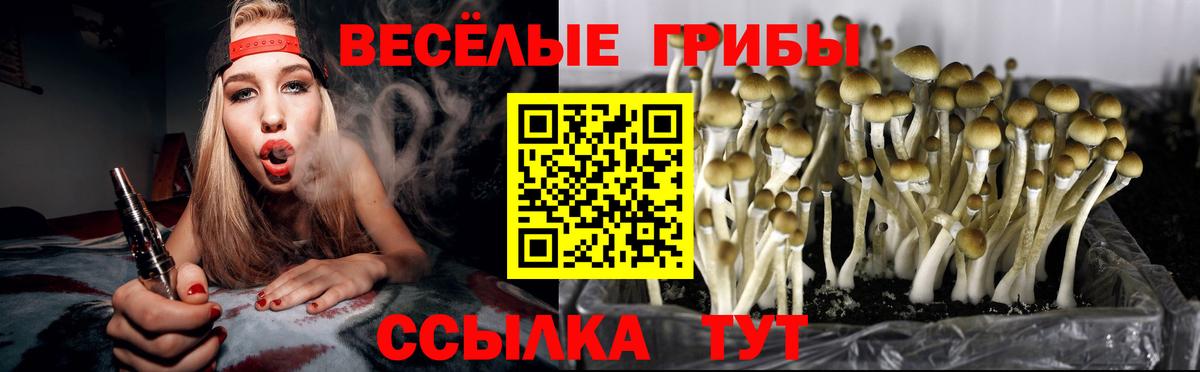 Галлюциногенные грибы прущие грибы Чистополь